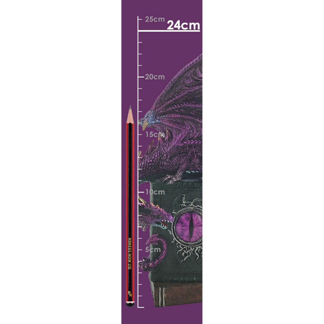 Dragon Fable Purple Dragon on Book Figurine 24cm U6702A24