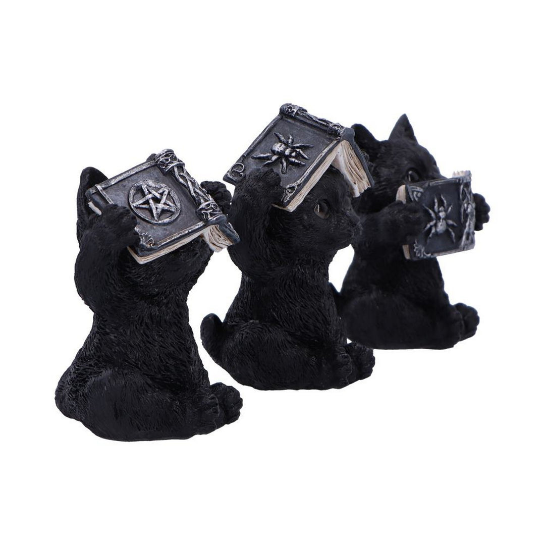 Three Wise Witchy Black Spell Cats 8.5cm U6717A24