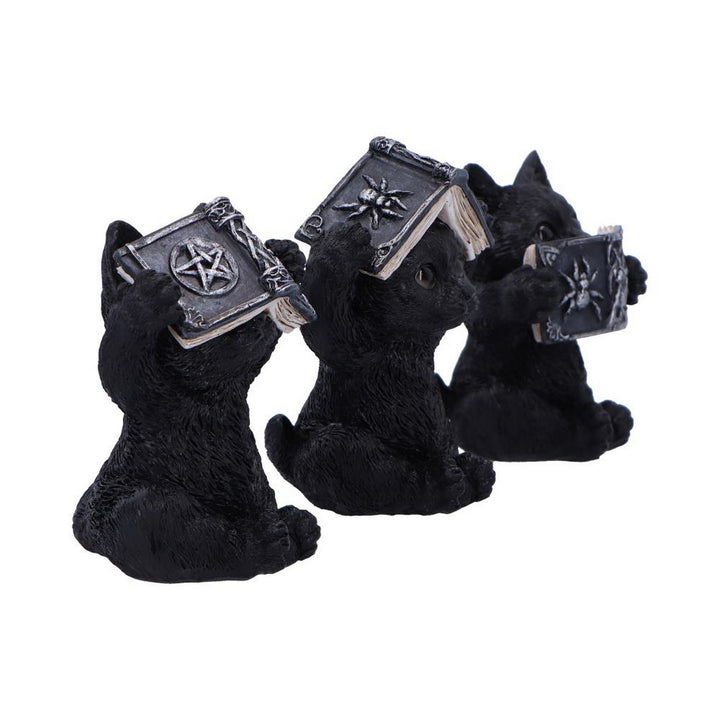 Three Wise Witchy Black Spell Cats 8.5cm U6717A24