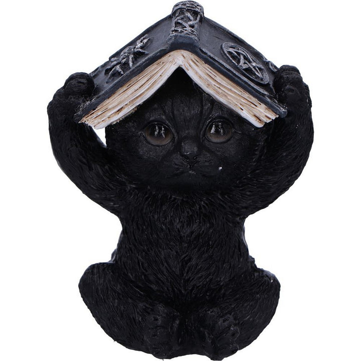 Three Wise Witchy Black Spell Cats 8.5cm U6717A24