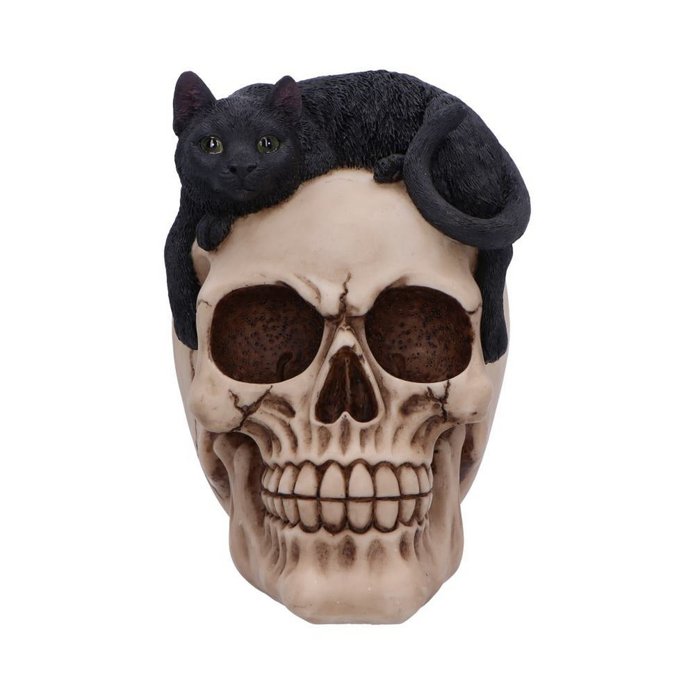 Forever Friend Black Cat Skull Head 14.5cm U6725A24