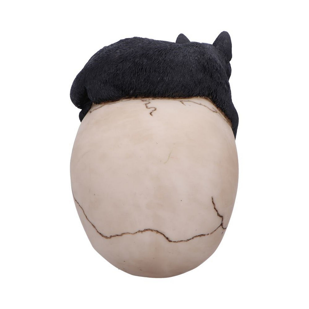 Forever Friend Black Cat Skull Head 14.5cm U6725A24