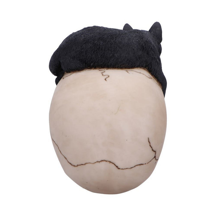 Forever Friend Black Cat Skull Head 14.5cm U6725A24