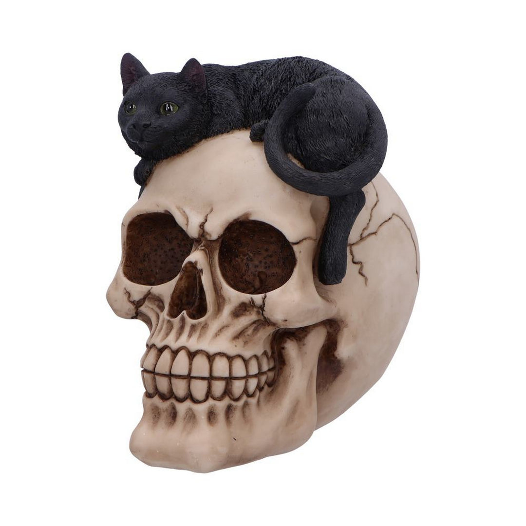 Forever Friend Black Cat Skull Head 14.5cm U6725A24