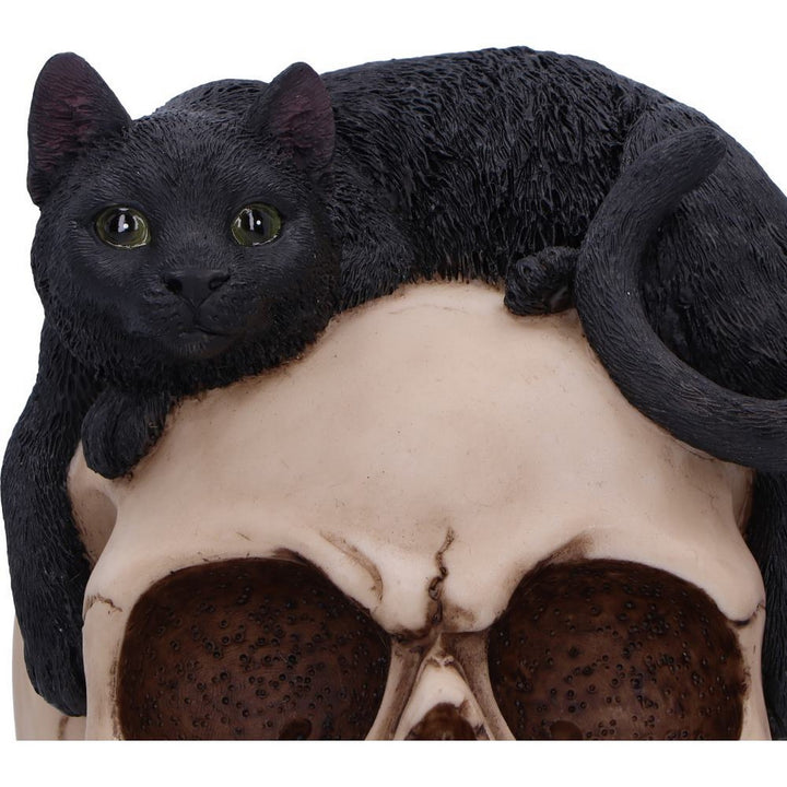 Forever Friend Black Cat Skull Head 14.5cm U6725A24