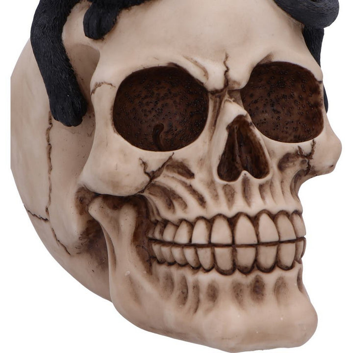Forever Friend Black Cat Skull Head 14.5cm U6725A24