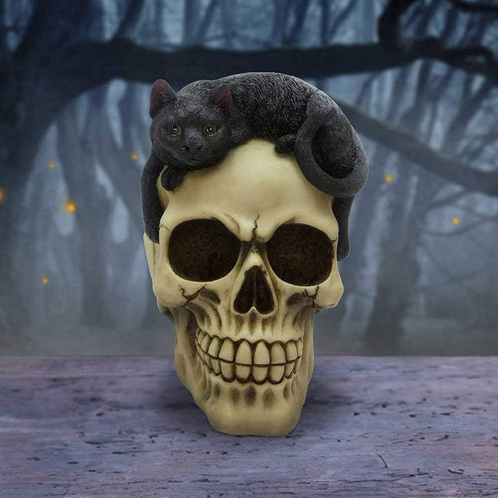 Forever Friend Black Cat Skull Head 14.5cm U6725A24