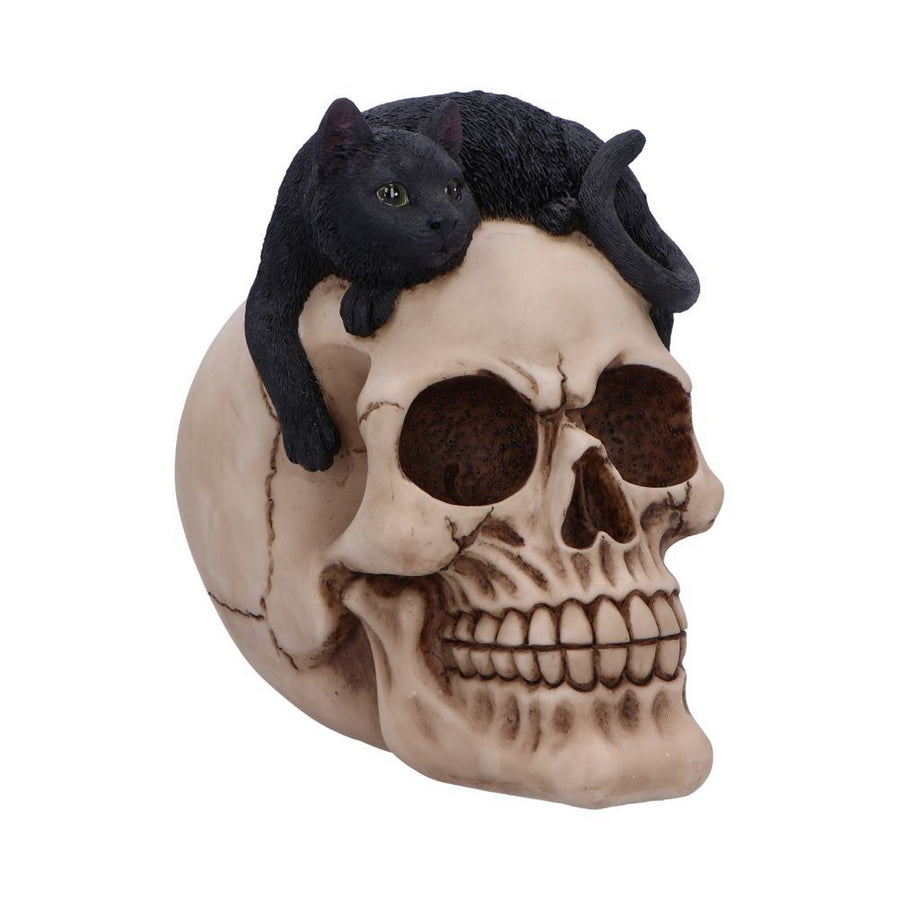 Forever Friend Black Cat Skull Head 14.5cm U6725A24