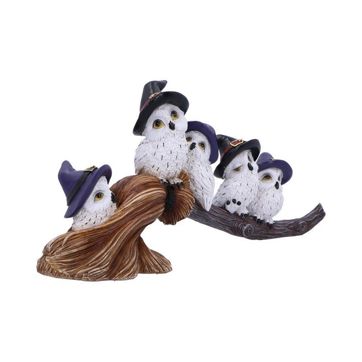 Feathered Owls on Broomstick Figurine 26cm U6737A24
