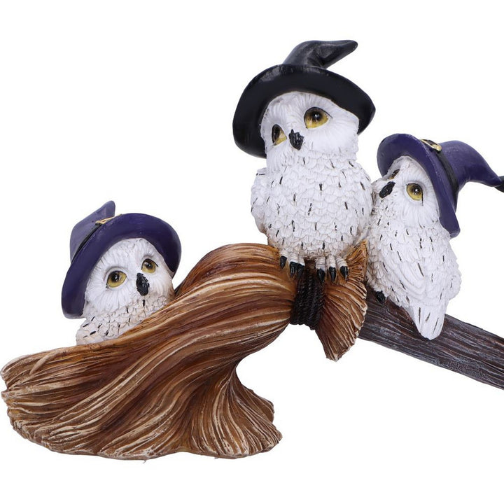 Feathered Owls on Broomstick Figurine 26cm U6737A24