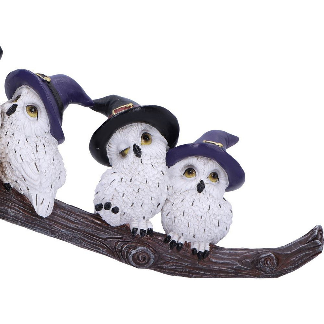 Feathered Owls on Broomstick Figurine 26cm U6737A24