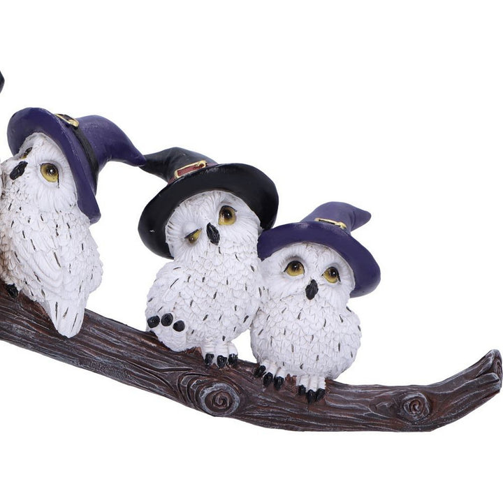 Feathered Owls on Broomstick Figurine 26cm U6737A24