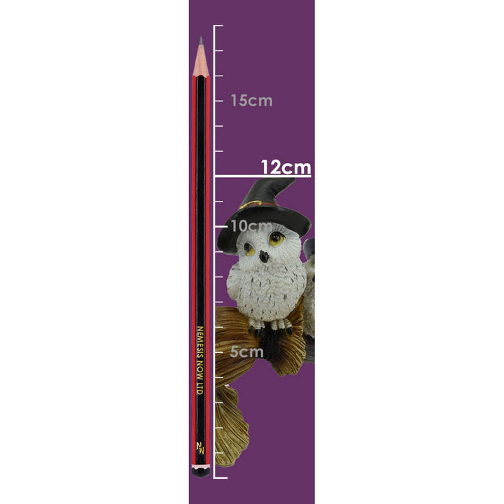 Feathered Owls on Broomstick Figurine 26cm U6737A24