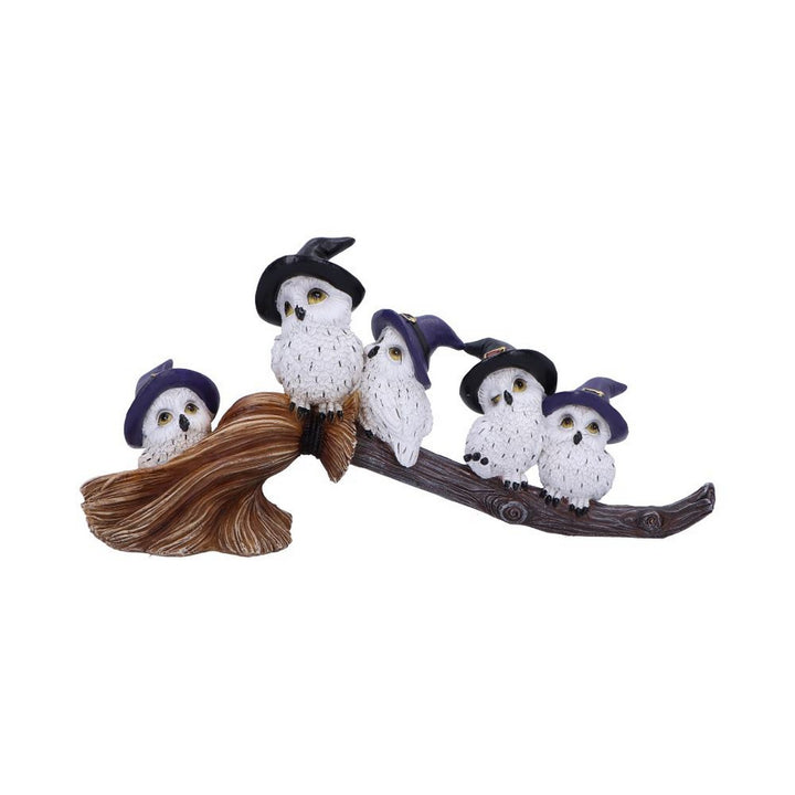Feathered Owls on Broomstick Figurine 26cm U6737A24
