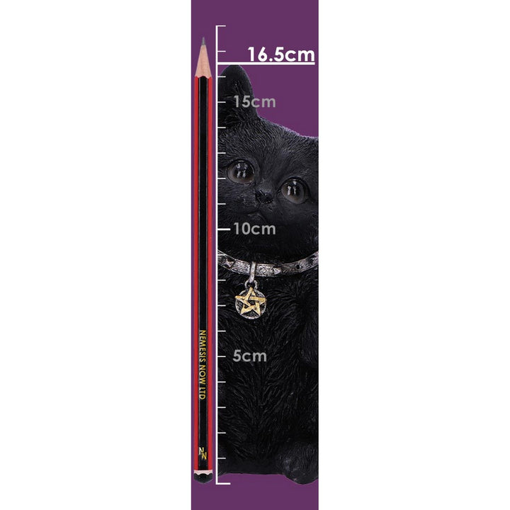 Metallicat Black Cat Throwing Rock Hand Sign U6862C24