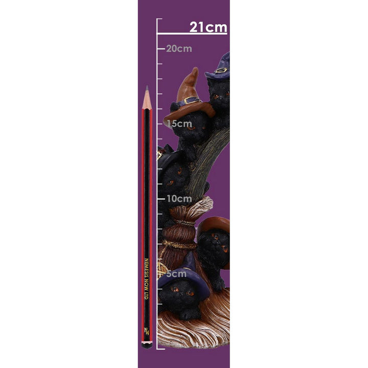 Broomstick Kindle Witchy Black Cats Ornament U6870C24