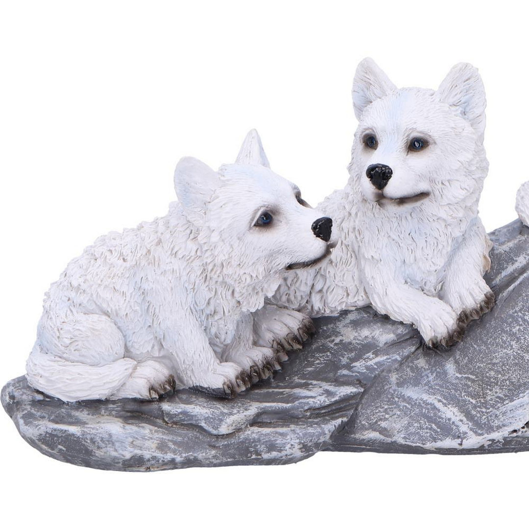 Winter Litter White Wolf Ornament U6873C24