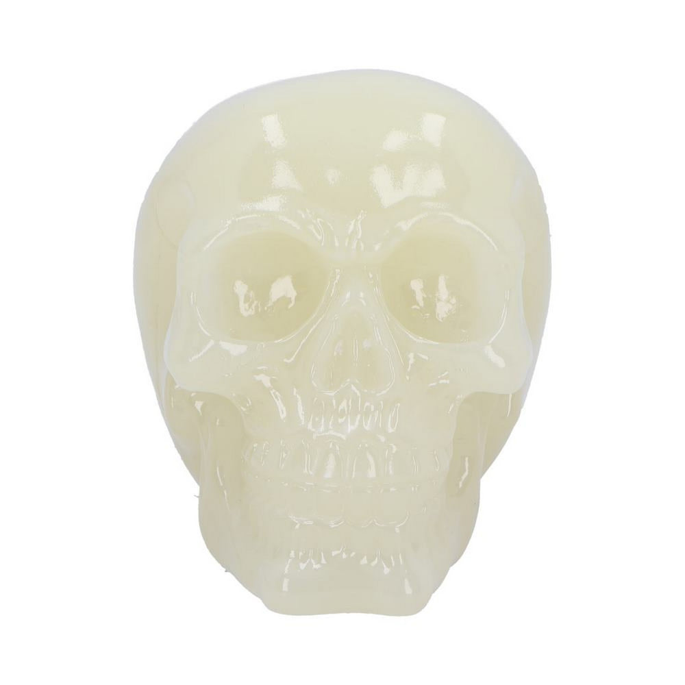 Phosphorescent Glow in the Dark Skull U6874C24