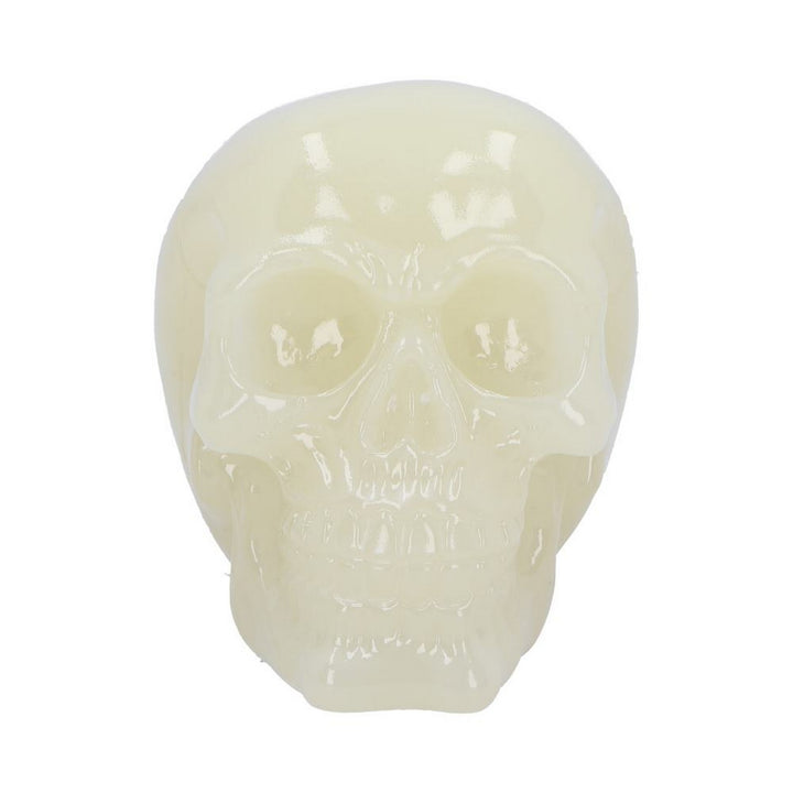 Phosphorescent Glow in the Dark Skull U6874C24
