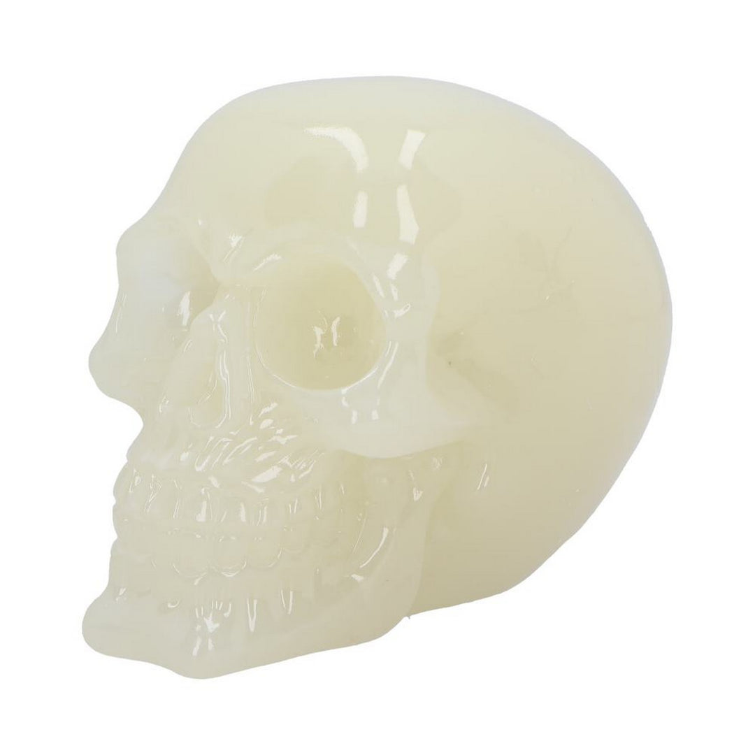 Phosphorescent Glow in the Dark Skull U6874C24