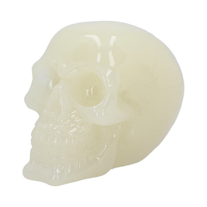 Phosphorescent Glow in the Dark Skull U6874C24