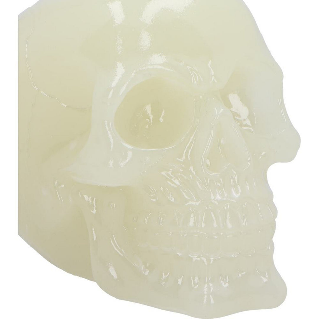 Phosphorescent Glow in the Dark Skull U6874C24