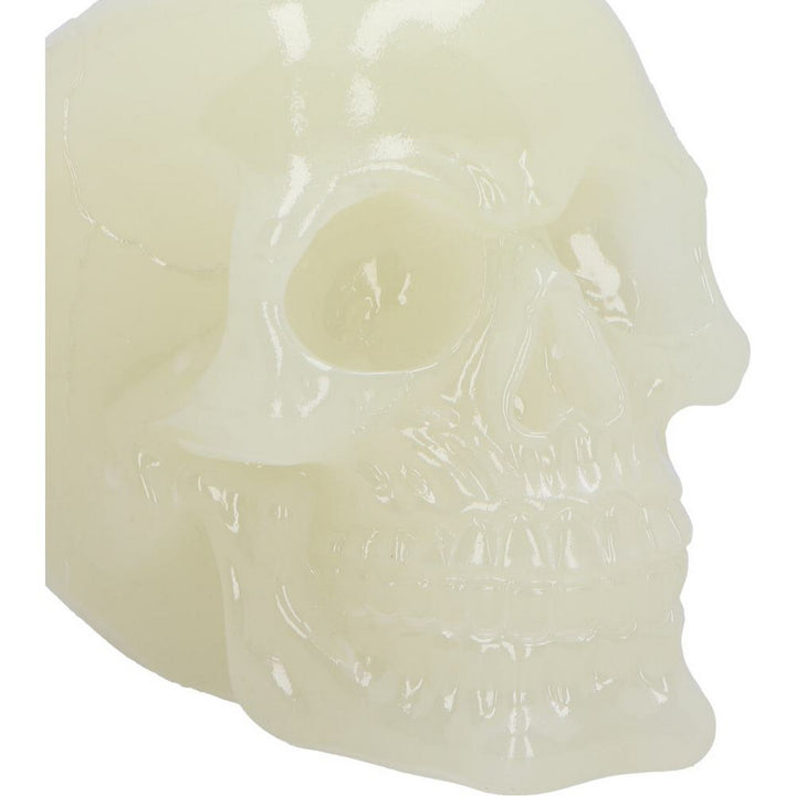 Phosphorescent Glow in the Dark Skull U6874C24