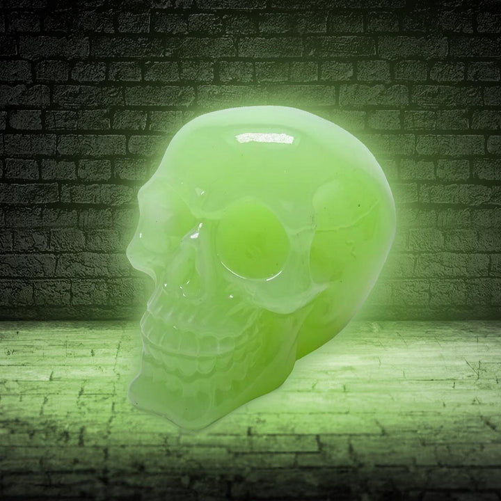 Phosphorescent Glow in the Dark Skull U6874C24