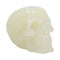 Phosphorescent Glow in the Dark Skull U6874C24