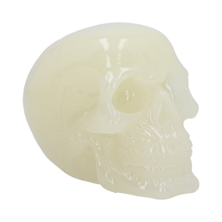 Phosphorescent Glow in the Dark Skull U6874C24