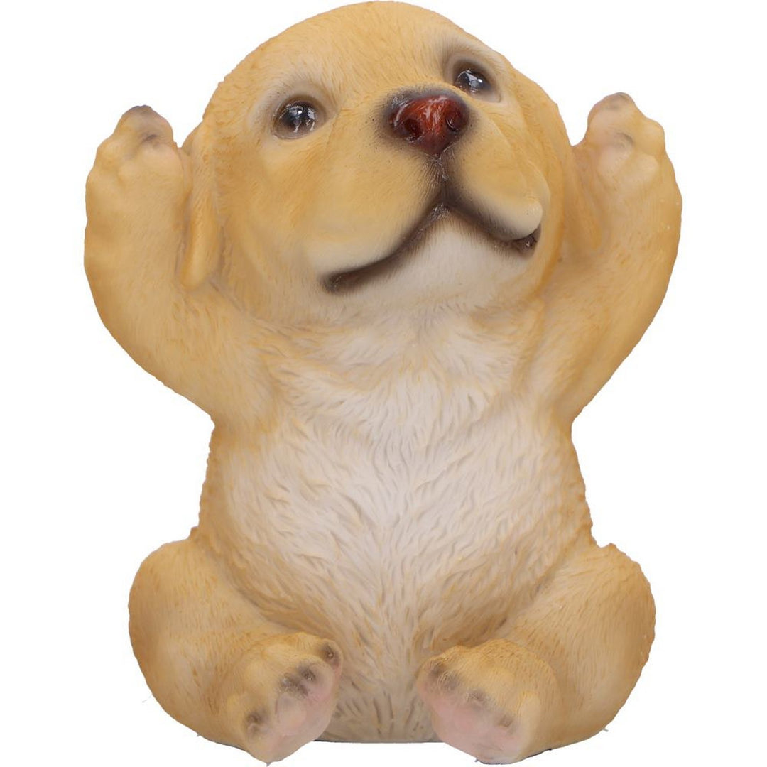 Three Wise Golden Labradors Figurines (Set of 3) U6959A25