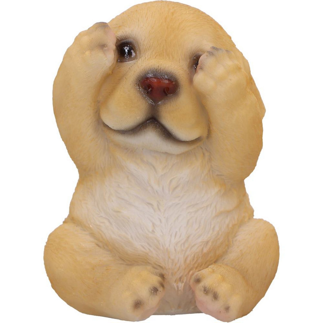 Three Wise Golden Labradors Figurines (Set of 3) U6959A25