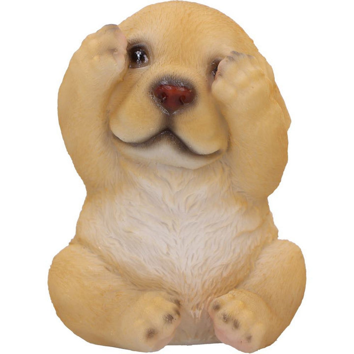 Three Wise Golden Labradors Figurines (Set of 3) U6959A25
