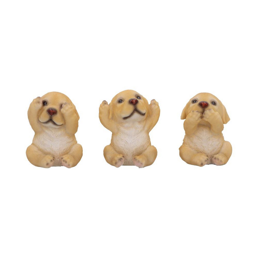 Three Wise Golden Labradors Figurines (Set of 3) U6959A25