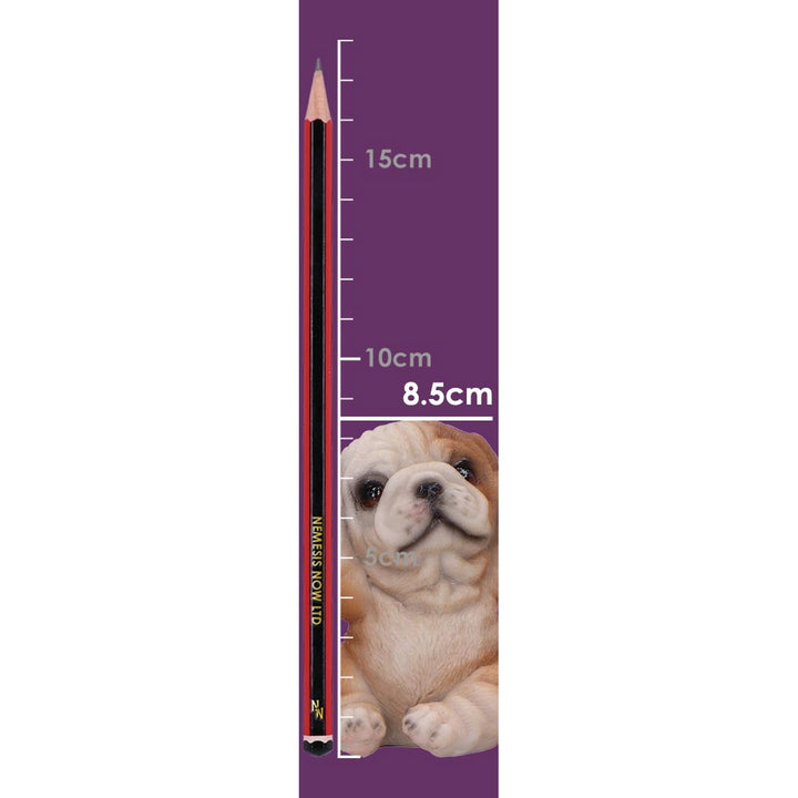 Three Wise Bulldogs Figurines (Set of 3) U6960A25