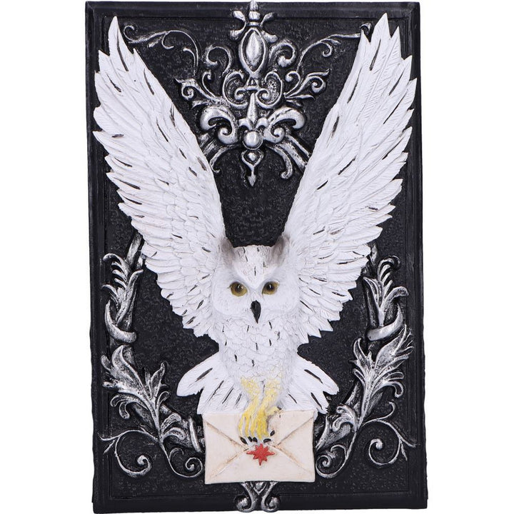 Owl Messenger Trinket Box U7005A25