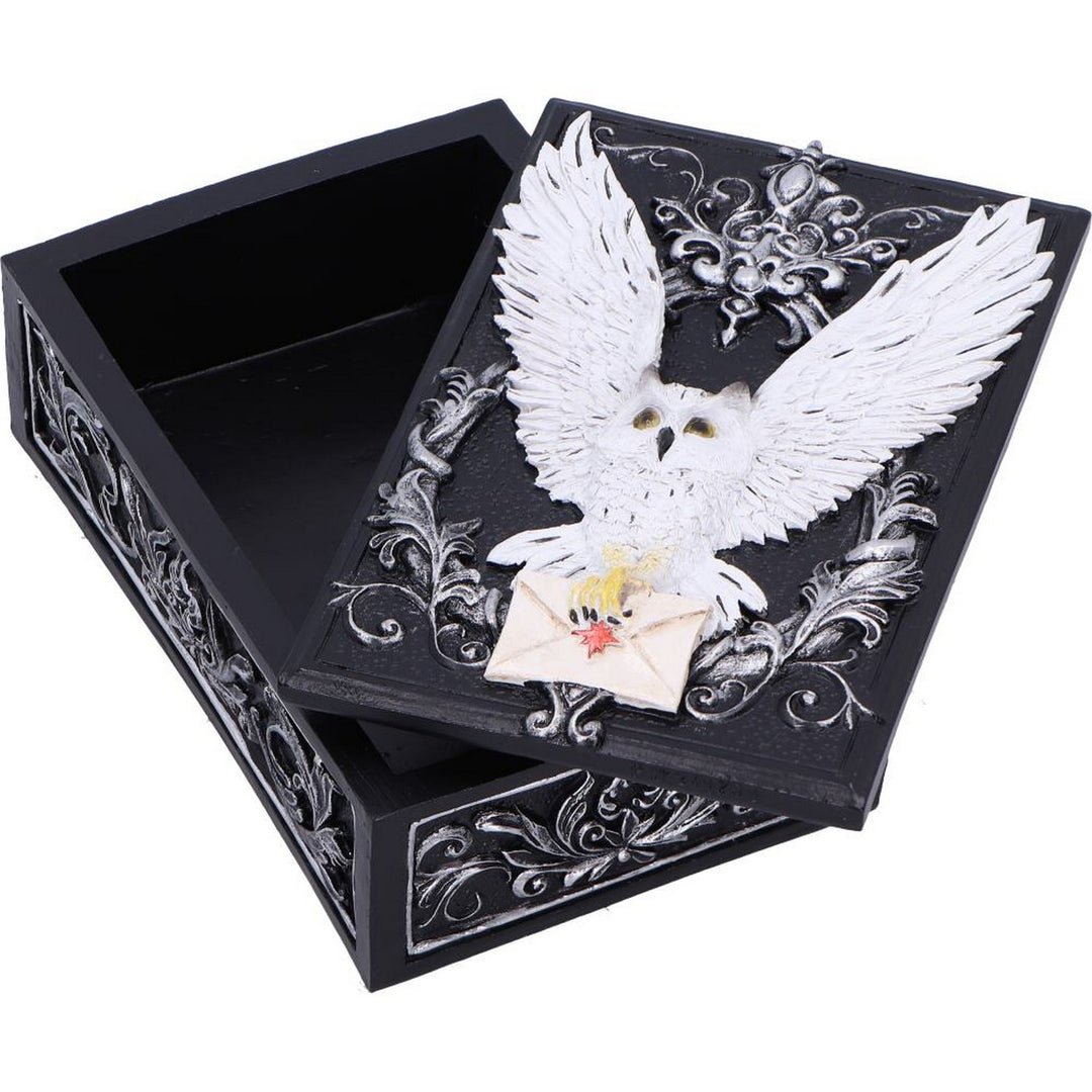 Owl Messenger Trinket Box U7005A25