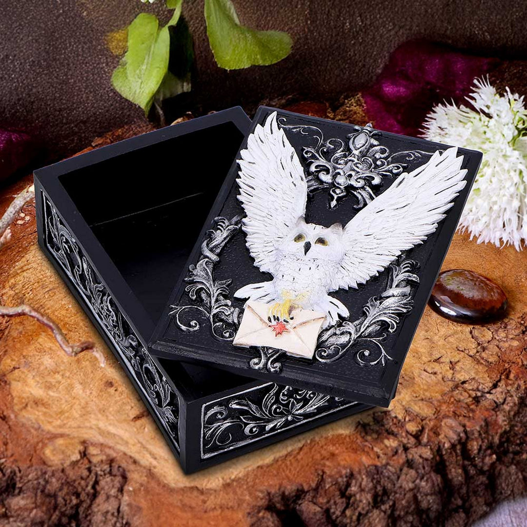 Owl Messenger Trinket Box U7005A25
