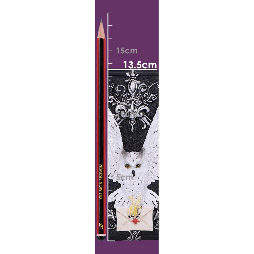 Owl Messenger Trinket Box U7005A25