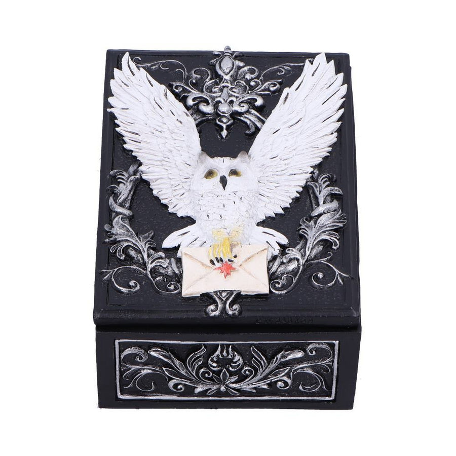 Owl Messenger Trinket Box U7005A25