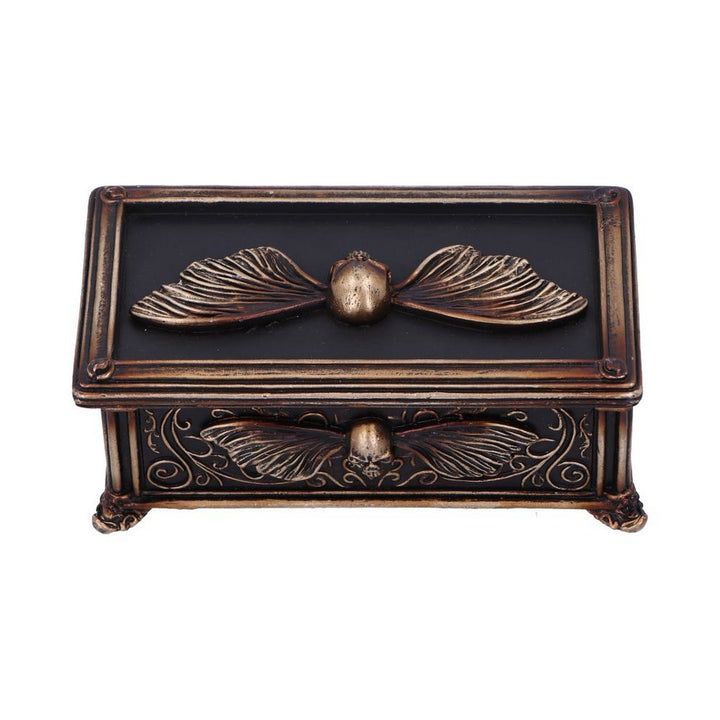 Death's Head Treasure Ornamental Box U7038M25