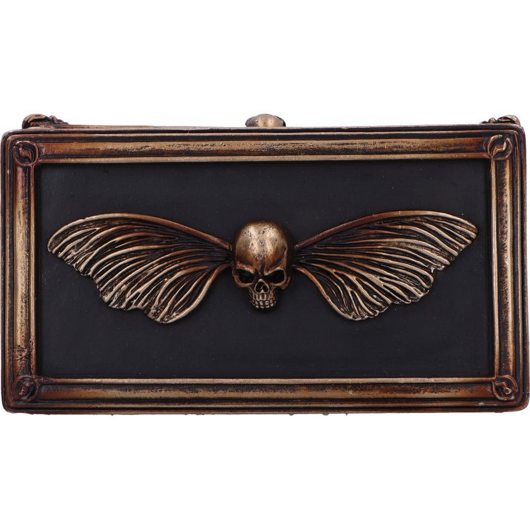 Death's Head Treasure Ornamental Box U7038M25