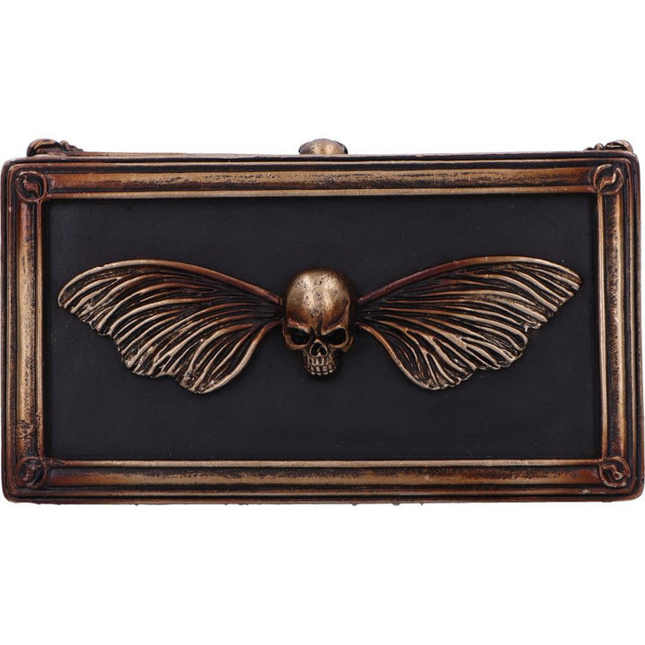 Death's Head Treasure Ornamental Box U7038M25