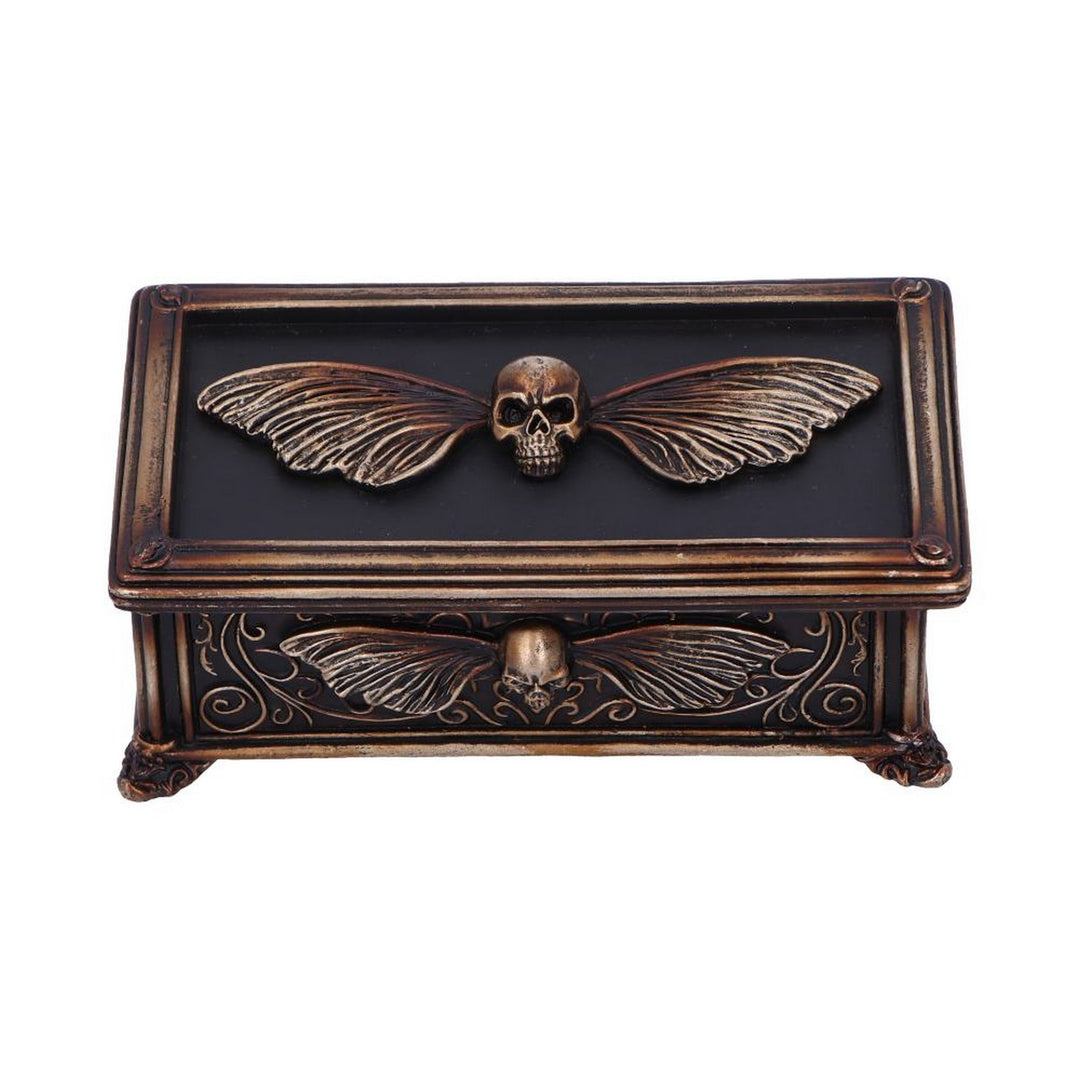 Death's Head Treasure Ornamental Box U7038M25