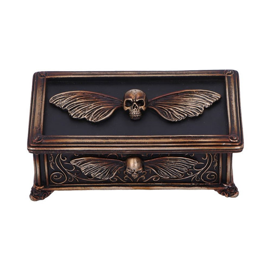 Death's Head Treasure Ornamental Box U7038M25