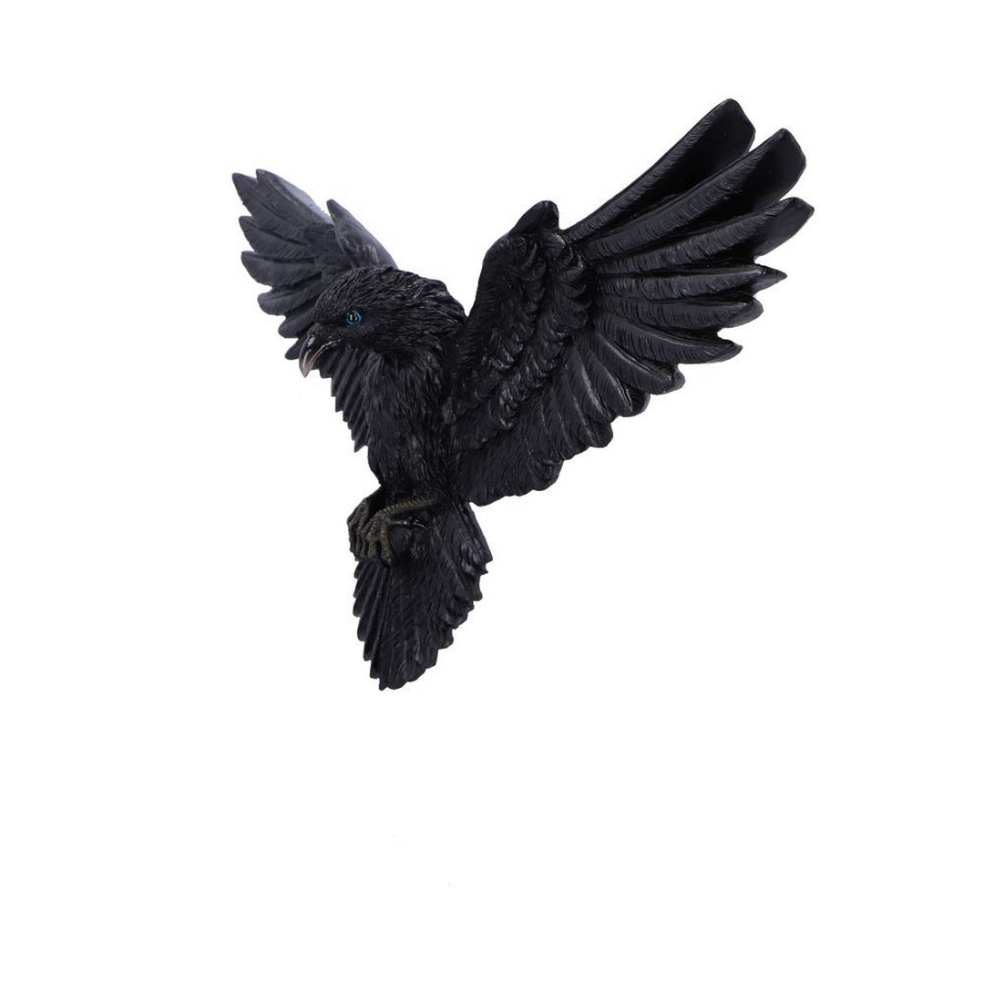 Flight of the Raven Wall Hanging Decoration U7043M25