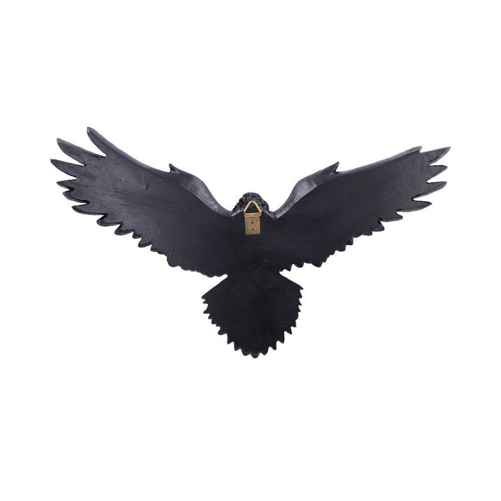 Flight of the Raven Wall Hanging Decoration U7043M25