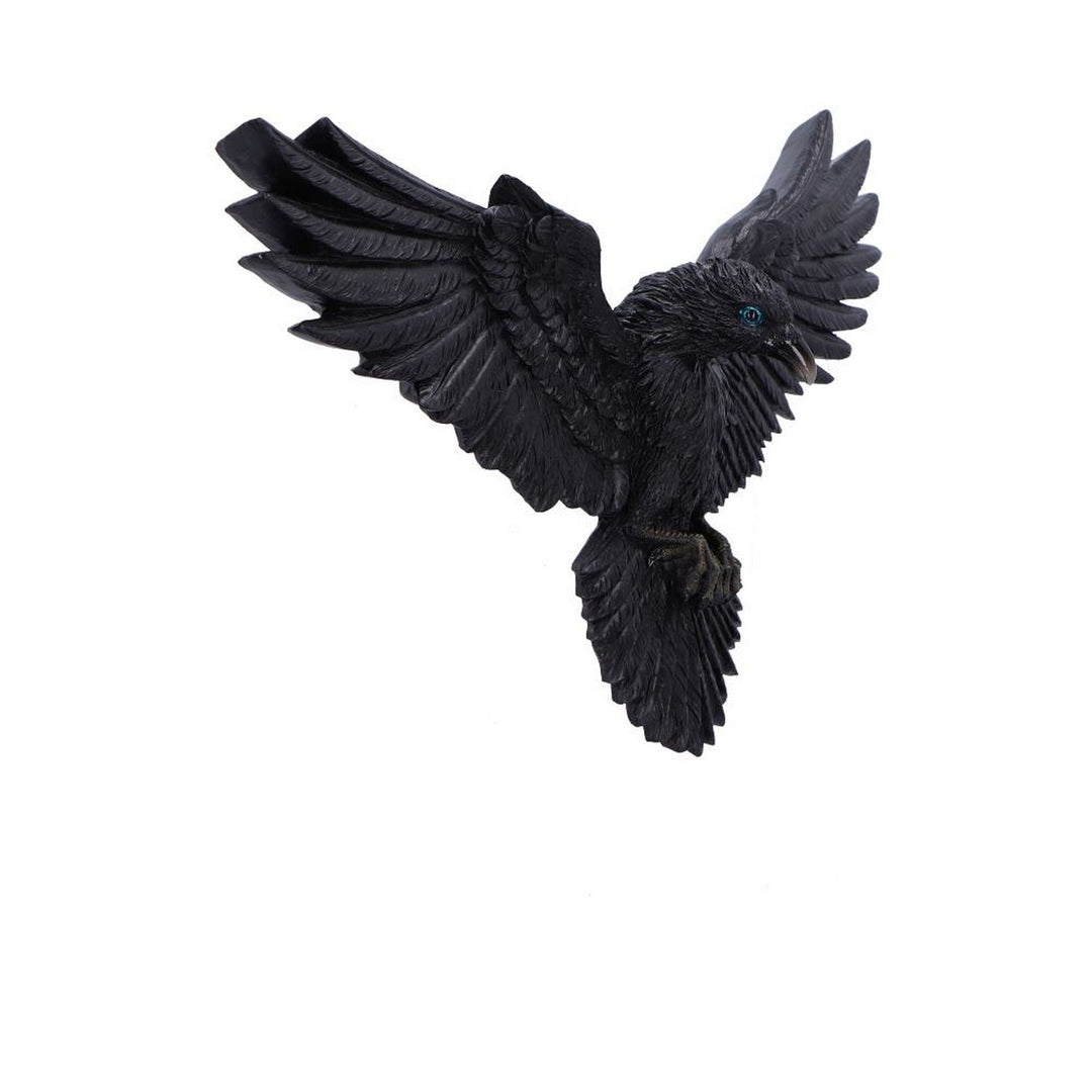 Flight of the Raven Wall Hanging Decoration U7043M25