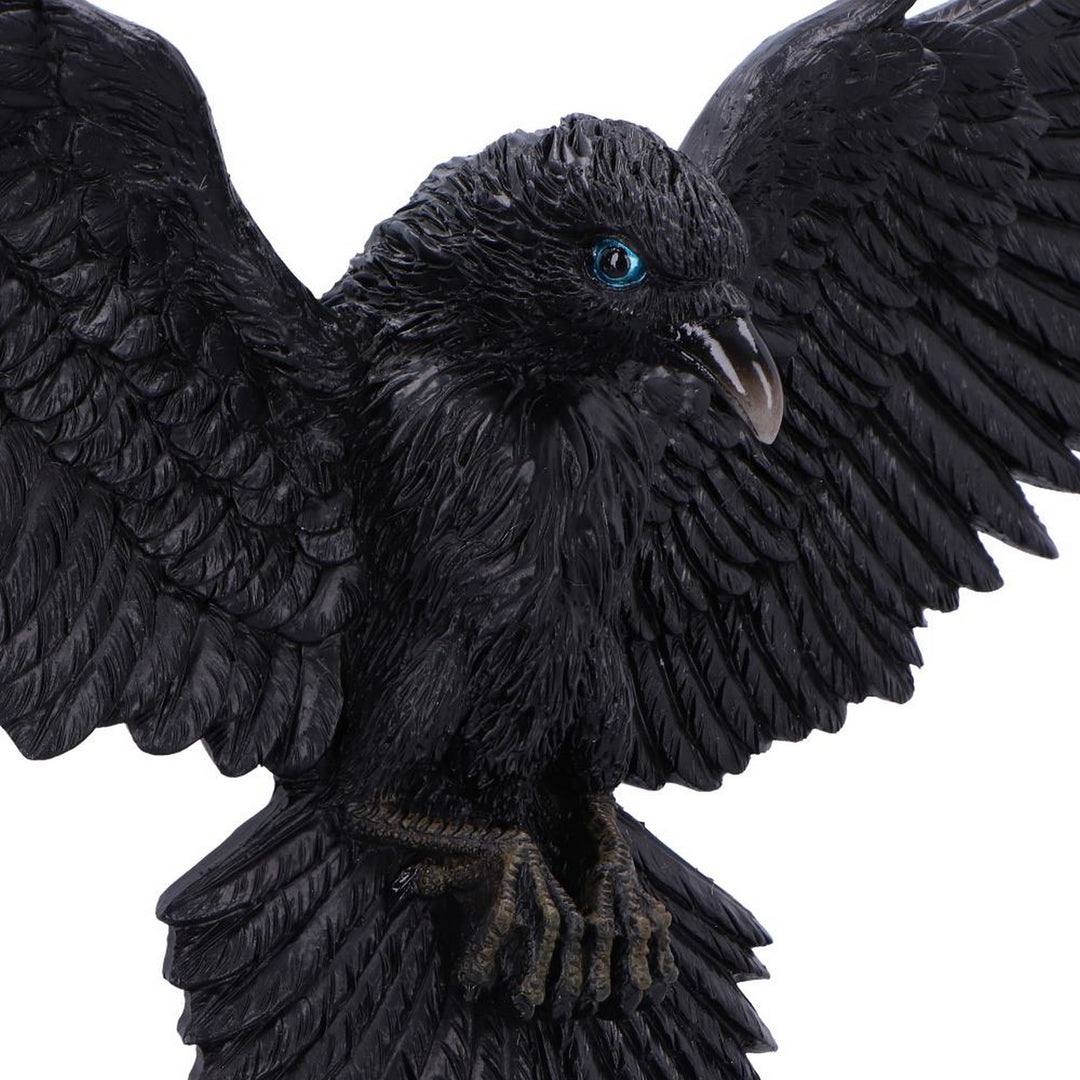 Flight of the Raven Wall Hanging Decoration U7043M25
