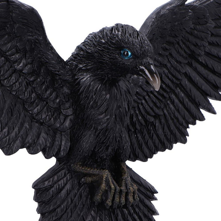 Flight of the Raven Wall Hanging Decoration U7043M25